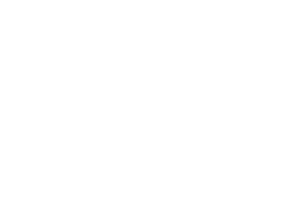 VNDEV logo
